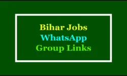 Bihar Job WhatsApp Group Links: Daily Job Alert
