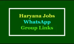 Haryana Jobs WhatsApp Group Links: Best Community to Get Job Alerts