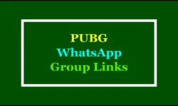 PUBG WhatsApp Group Links 2025